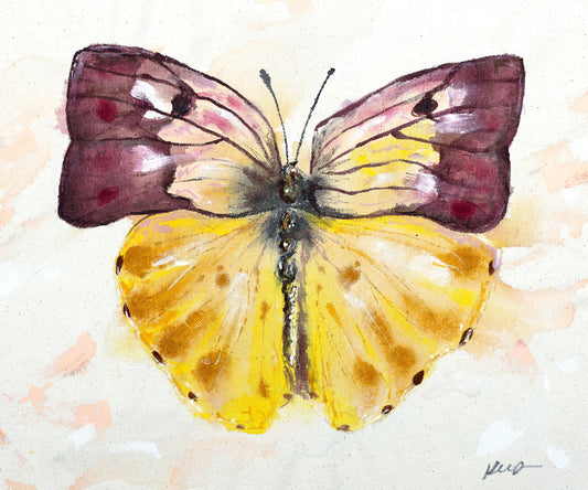 Butterfly + Mountain