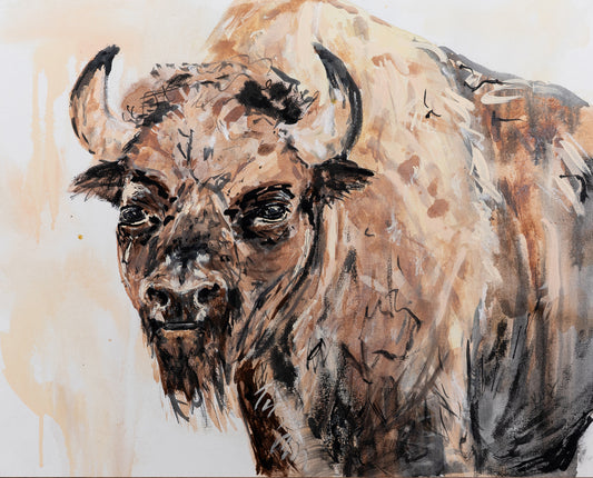Buffalo